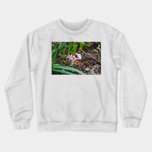 Pink ladies of spring Crewneck Sweatshirt